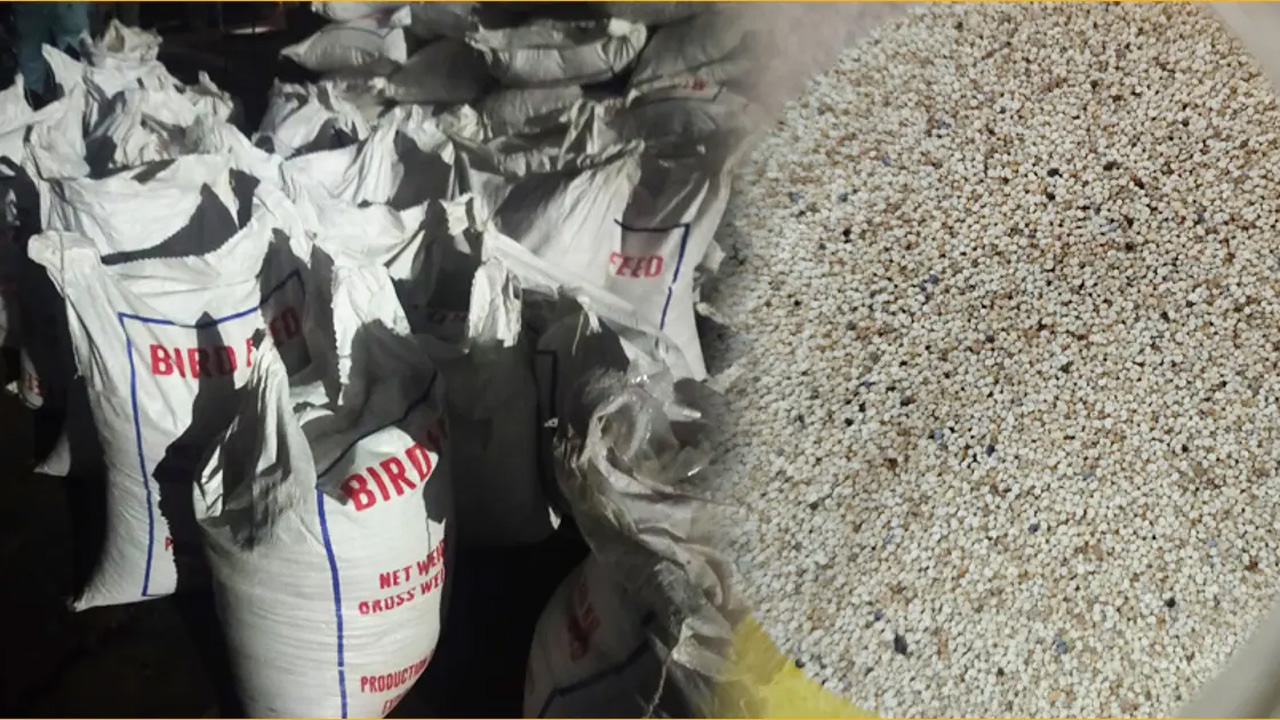 ‘পাখির খাদ্য’ বলে পাকিস্তান থেকে আনা হলো নিষিদ্ধ পপি বীজ