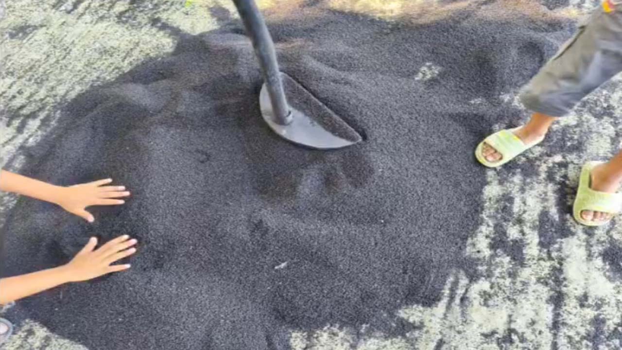 রাজবাড়ীতে লাল তিল রং মিশিয়ে কালো করার দায়ে দন্ড