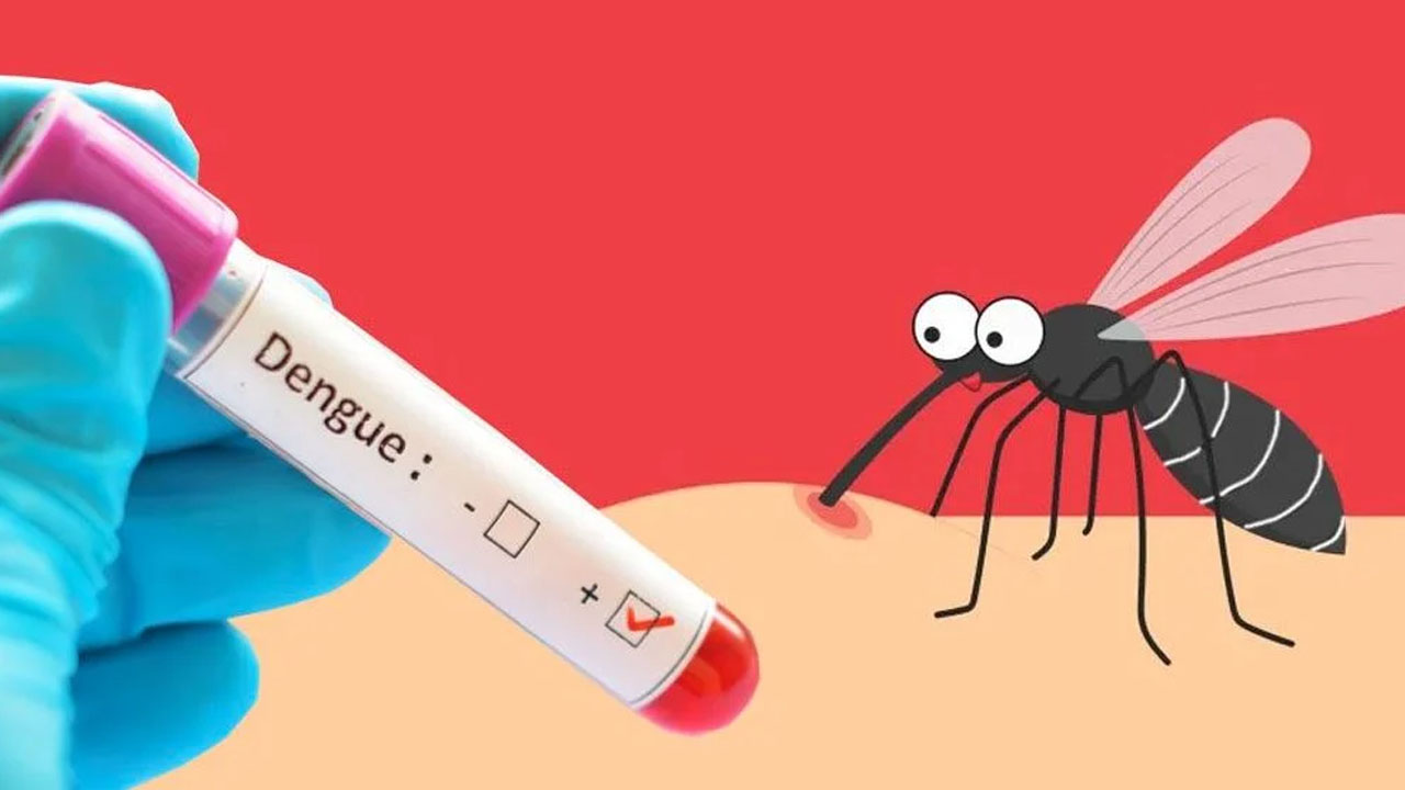 ডেঙ্গুতে মৃত্যু ৩, হাসপাতালে ৫৬৫