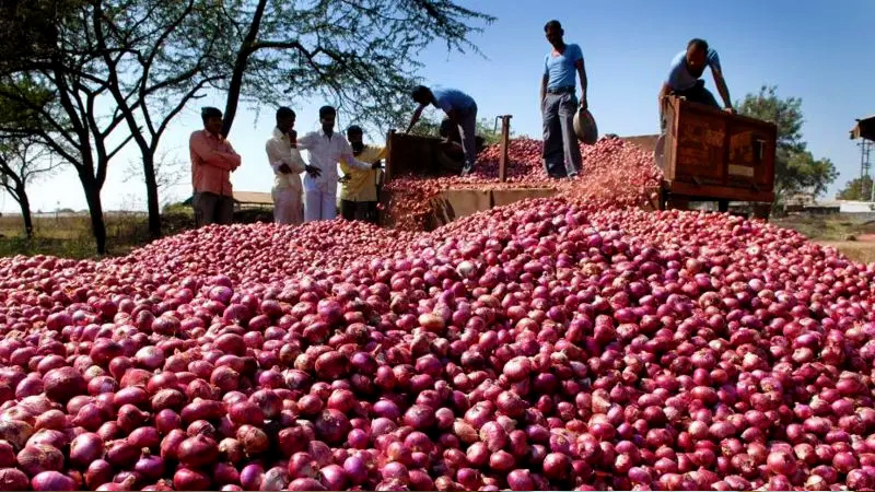 সীমিত আকারে পেঁয়াজ আমদানির অনুমতি সরকরের